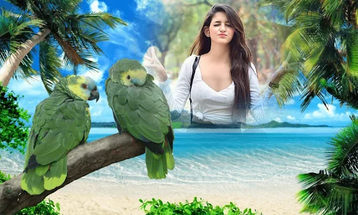 Birds Photo frame : Bird photo