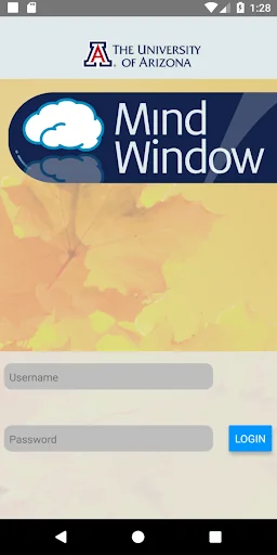 Mind Window