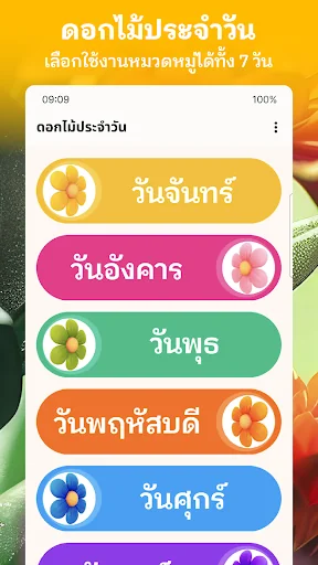 ดอกไม้ประจำวัน