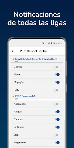 Puro Béisbol del Caribe screenshot 3