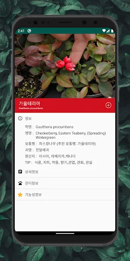 식물 정보 찾기 - 관엽식물, 다육식물 정보 찾기, 내 screenshot 3