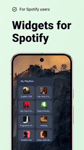 Widgetify for Spotify