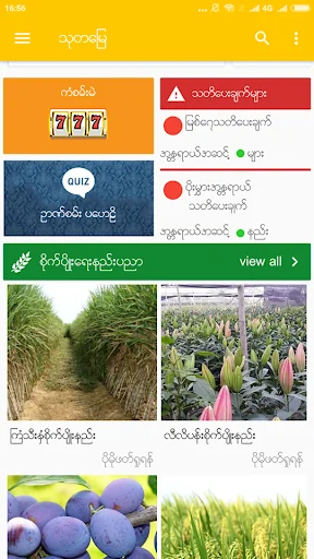 Thu Ta Myay screenshot 1