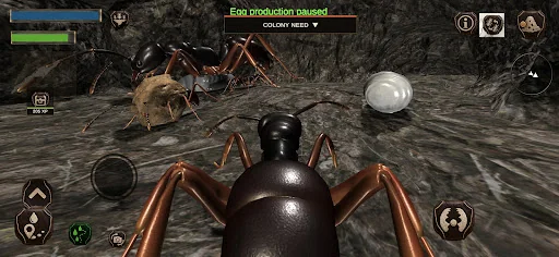 Ant Simulation 3D