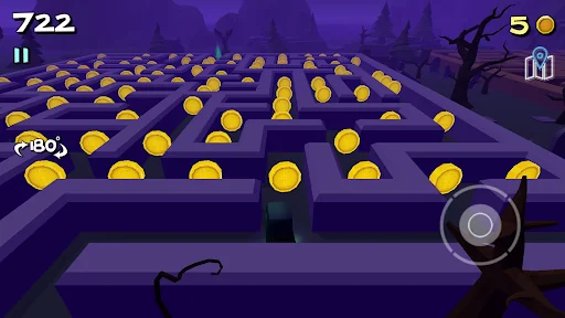 3D Maze 3 - Labyrinth Game screenshot 3