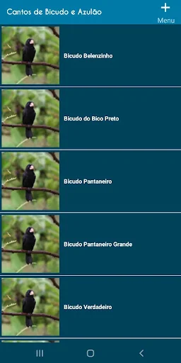 Cantos de Bicudo e Azulao