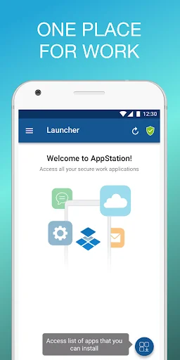 MobileIron AppStation