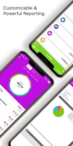 iXpenseIt Pro: expense, cashfl screenshot 4