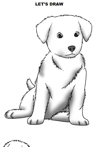 How to Draw Dogs