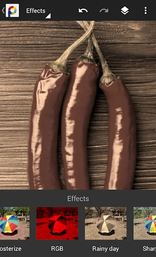 PhotoSuite screenshot 3