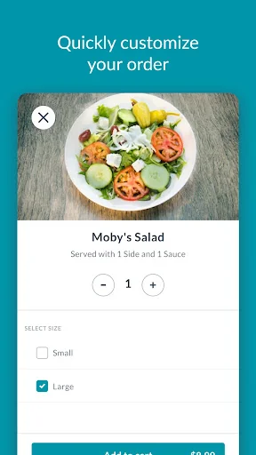 Moby Dick House of Kabob screenshot 2