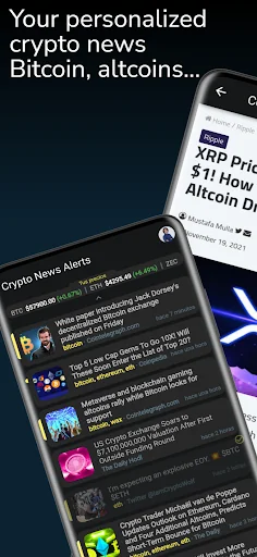 Crypto News: BTC & Alt Alerts