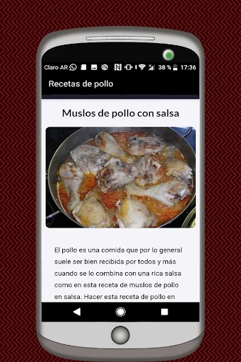 Recetas de Pollo Asado y Frito screenshot 4