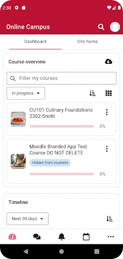 Auguste Escoffier Culinary screenshot 3