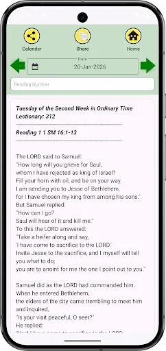 Catholic Liturgical Calendar screenshot 4