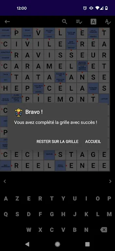 Mots Fléchés Français screenshot 3