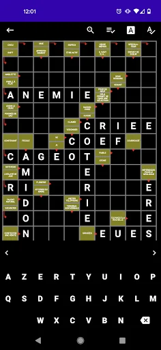 Mots Fléchés Français screenshot 4