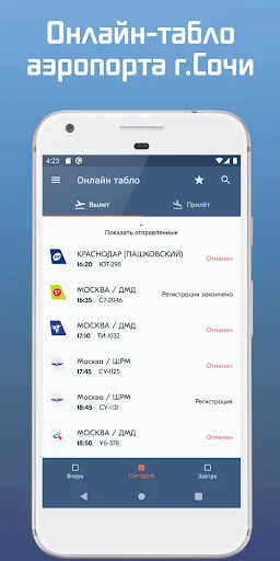 Сочи Аэропорт screenshot 1