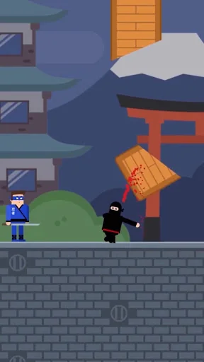 Agent Ninja-Ninja Puzzles