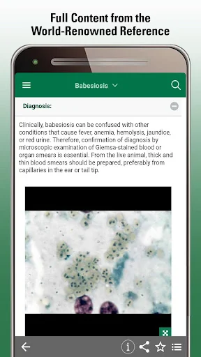 MSD Vet Manual screenshot 3