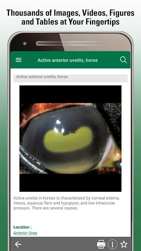 MSD Vet Manual screenshot 4
