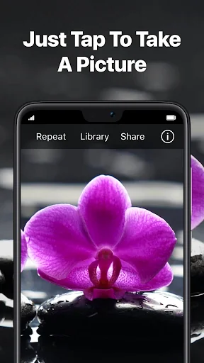 TapTapSee
