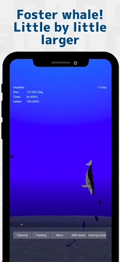 Whale training