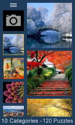Jigsaw Puzzles