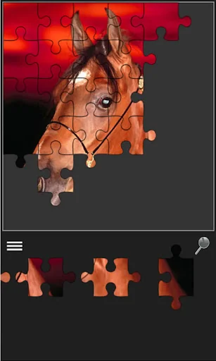 Jigsaw and memory with animals