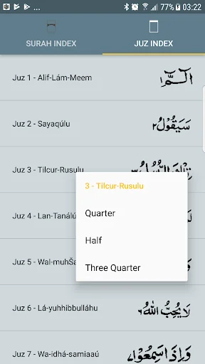 13 Line Quran screenshot 4