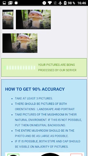 Mushroom identification from p screenshot 2