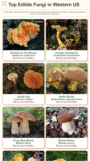 Shroomify - USA Mushroom ID screenshot 2