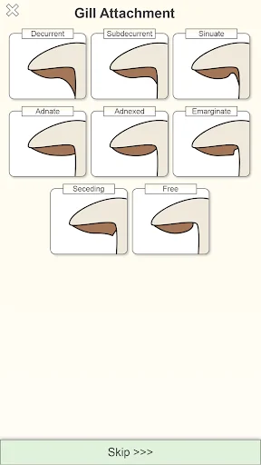 Shroomify - USA Mushroom ID screenshot 3