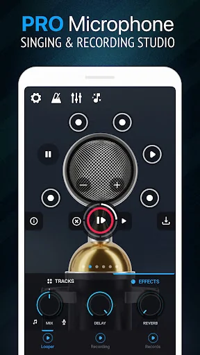 Pro Microphone