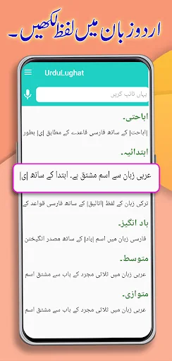 Urdu Lughat Offline Dictionary