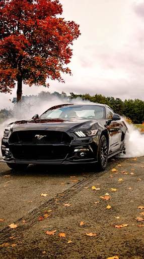 Mustang car wallpapers app screenshot 2