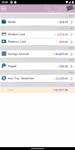 EvoWallet - Money Manager screenshot 4