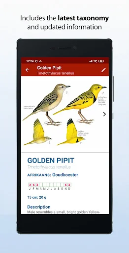 Sasol eBirds Southern Africa screenshot 2