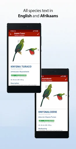 Sasol eBirds Southern Africa screenshot 3