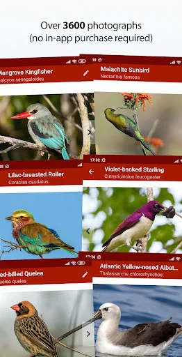 Sasol eBirds Southern Africa screenshot 4