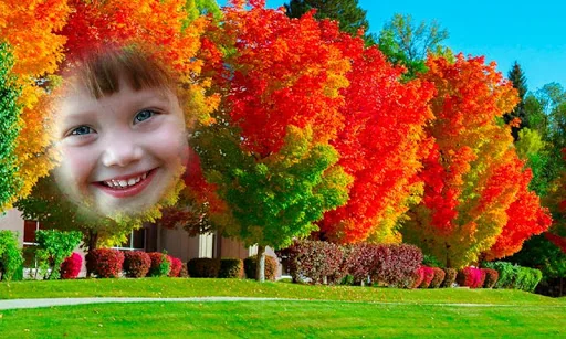 Beautiful Natural Scenery Pics