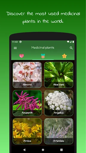 myRemedy: Medicinal plants