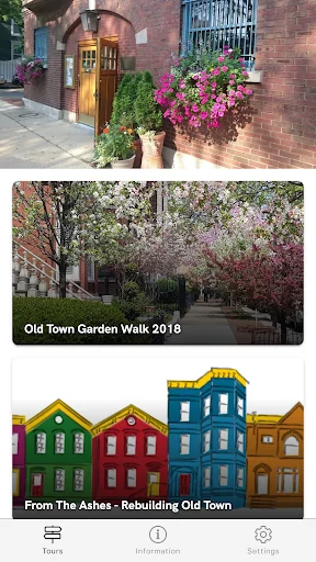 Old Town Triangle Tours