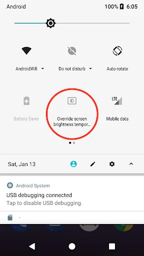 Temporary Brightness