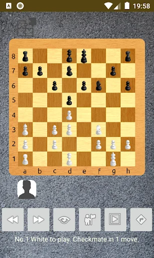 chess problems