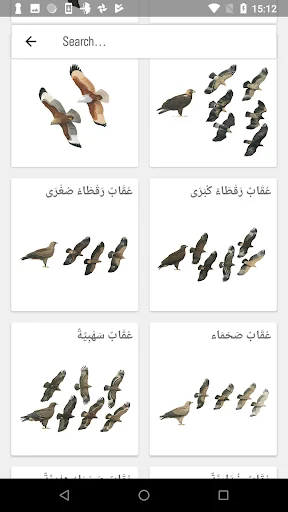 دليل الطيور في الشرق الأوسط screenshot 2