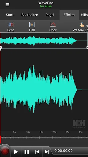 WavePad Professionell