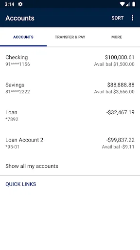 Nebraska State Bank & Trust screenshot 3