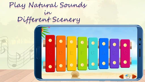 Xylophone - Musical Instrument