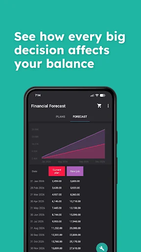 Financial Forecast - Budget screenshot 1